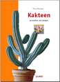 Kakteen