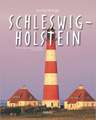 Journey Through Schleswig-Holstein: Rangordnung Und Idoneitat in Hofischen Gesellschaften Des Spaten Mittelalters