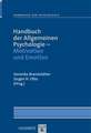 Handbuch der Allgemeinen Psychologie - Motivation und Emotion