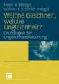 Welche Gleichheit, welche Ungleichheit?: Grundlagen der Ungleichheitsforschung