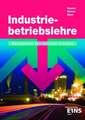 Industriebetriebslehre - Management betrieblicher Prozesse