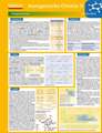 Lerntafel: Anorganische Chemie II im Überblick