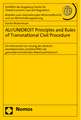 Ali/Unidroit Principles and Rules of Transnational Civil Procedure: Ein Instrument Zur Losung Des Deutsch-Amerikanischen Justizkonflikts Bei Grenzuber