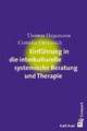 Einführung in die interkulturelle systemische Beratung und Therapie