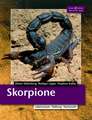 Skorpione