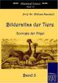 Bilderatlas der Tiere (Band 3)