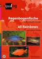 Alle Regenbogenfische