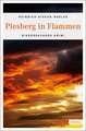 Piesberg in Flammen