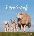 Extra Schaf Postkartenkalender 2027