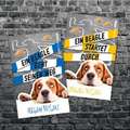 Ein Beagle kommt selten allein (Band 1)