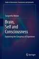 Brain, Self and Consciousness: Explaining the Conspiracy of Experience