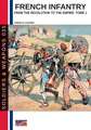 French infantry from the Revolution to the Empire - Tome 1