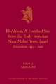 El-Ahwat: A Fortified Site from the Early Iron Age Near Nahal 'Iron, Israel: Excavations 1993-2000