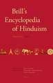 Brill's Encyclopedia of Hinduism. Volume Six: Indices