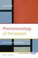 Phenomenology of Perception: Theories and Experimental Evidence