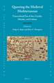 Queering the Medieval Mediterranean: Transcultural Sea of Sex, Gender, Identity, and Culture