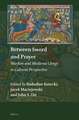 Between Sword and Prayer: Warfare and Medieval Clergy in Cultural Perspective