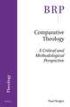 Comparative Theology: A Critical and Methodological Perspective