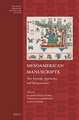 Mesoamerican Manuscripts: New Scientific Approaches and Interpretations