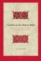 Cushites in the Hebrew Bible: Negotiating Ethnic Identity in the Past and Present