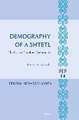 Demography of a Shtetl. The Case of Piotrków Trybunalski