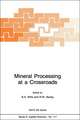 Mineral Processing at a Crossroads: Problems and Prospects