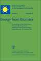 Energy from Biomass: Proceedings of the Workshop on Biomass Pilot Projects on Methanol Production and Algae, held in Brussels, 22 October 1981