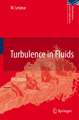 Turbulence in Fluids