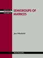 Semigroups of Matrices