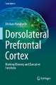 Dorsolateral Prefrontal Cortex: Working Memory and Executive Functions