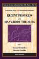 Recent Progress in Many-Body Theories: Proceedings of the 13th International Conference Buenos Aires, Argentina