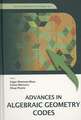 Advances in Algebraic Geometry Codes