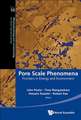 Pore Scale Phenomena: Frontiers in Energy and Environment