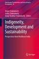 Indigeneity, Development and Sustainability: Perspectives from Northeast India