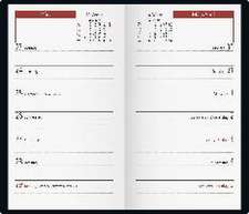 rido/idé 7012144905 Taschenkalender Modell TM 15 (2025)| 1 Seite = 1 Woche| A6| 112 Seiten| Kunstleder-Einband Prestige| schwarz