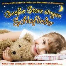 Various: Grosse Stars Singen Schlaflieder