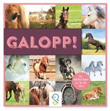 Galopp!