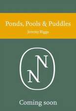 PONDS POOLS & PUDDLES