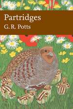 Partridges