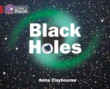 Black Holes