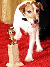 Uggie, the Artist: My Story