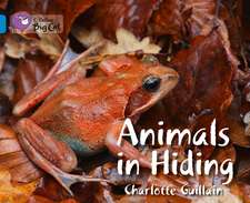 Animals in Hiding