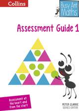 2014 Busy Ant Maths -- Year 1 Assessment Guide