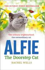 Alfie the Doorstep Cat