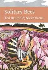 Solitary Bees