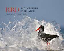 Bird Photographer Of The Year: Bird Photographer of the Year