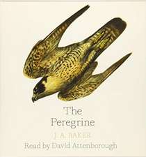 Baker, J: The Peregrine