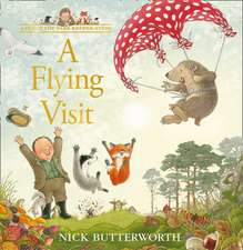 A Flying Visit