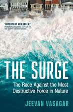 The Surge
