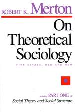 On Theoretical Sociology